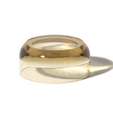 Big Dew Drop in Citrine