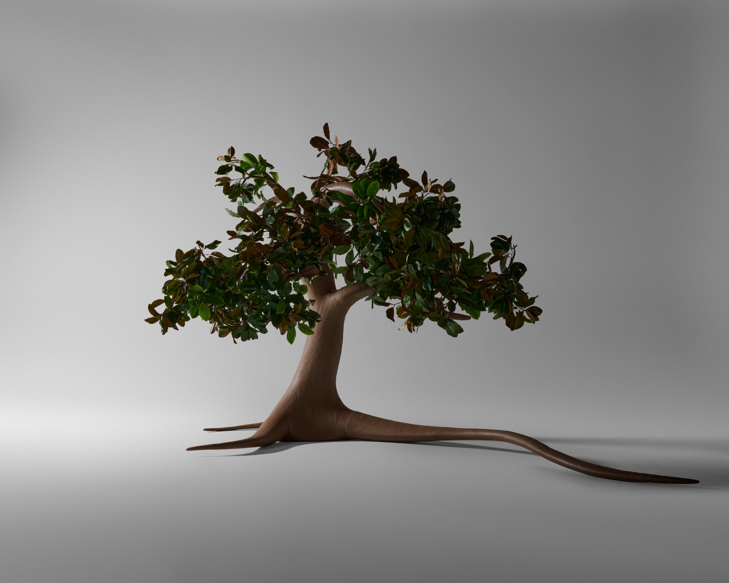 The Tree