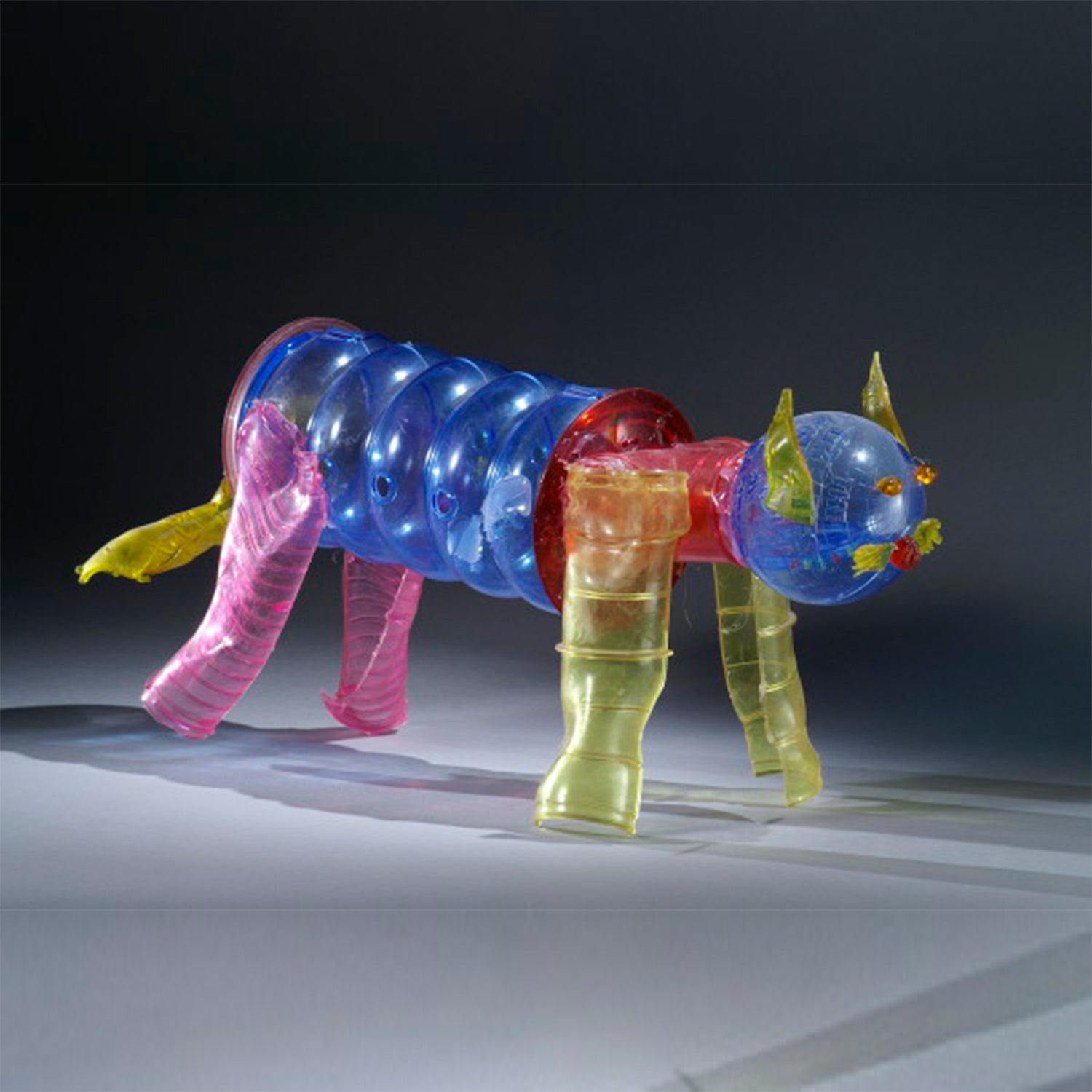 Candy Cat, 2005