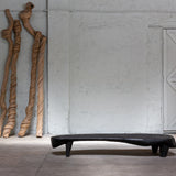 Amazonia Table