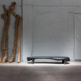 Amazonia Table