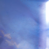 Delphinium