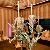 2-armed Earth Monsters Candelabra