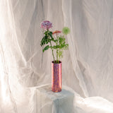 Medium Cambium Vase in Glossy Pink