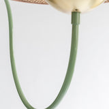 Cassini Rosa Floor Lamp