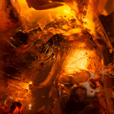 Etherial Campo | Amber