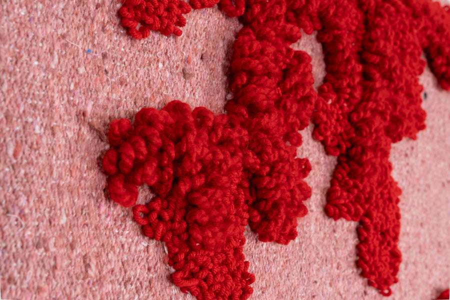 CORAL Tapestry