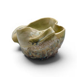 Organic Vessel 2