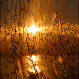 Between Petals I