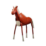 Pegasus, 2021