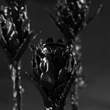 Shadow of Life Candleholders