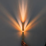 Tetra Ray