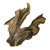 Cypress Cast