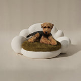 Rêverie x Judge Dogbed in Green
