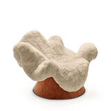Anemone Chair