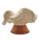 Anemone Chair