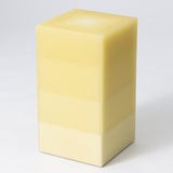 SCALE Pyramid
