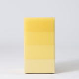 SCALE Pyramid
