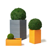 Standard Tall Rectangular